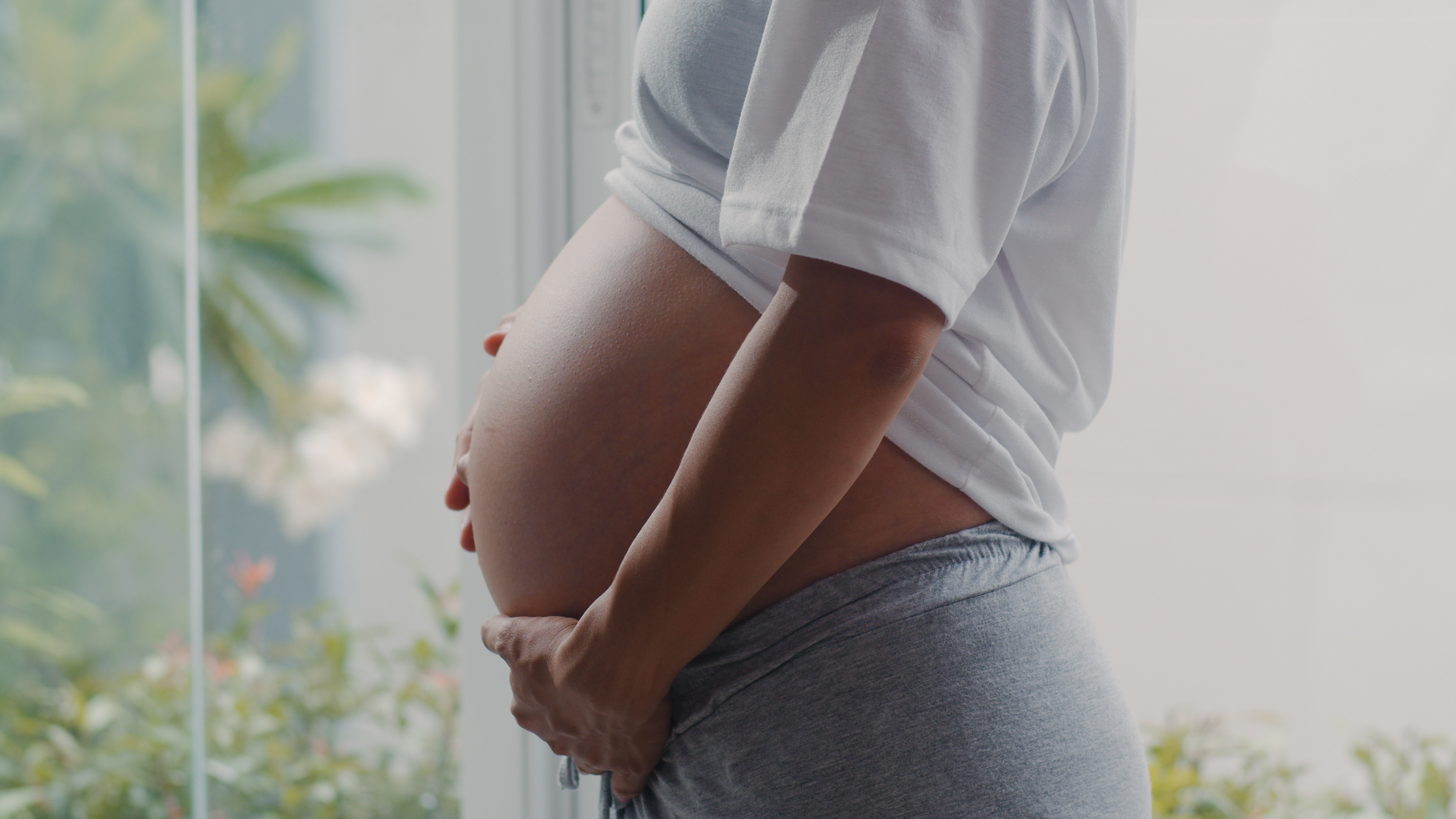 Pregnant woman by the window